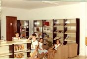Antigua Bibliteca Mahizflor en 1985